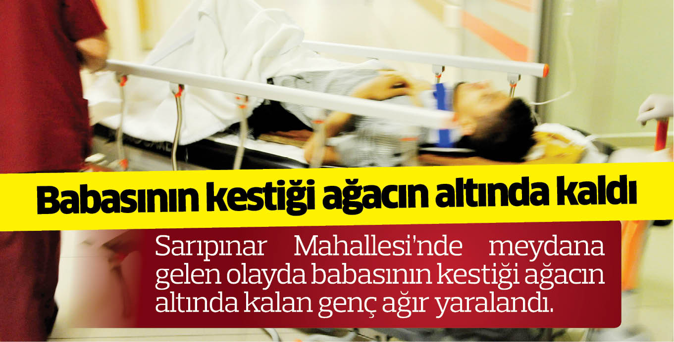 Babasının kestiği ağacın altında kaldı