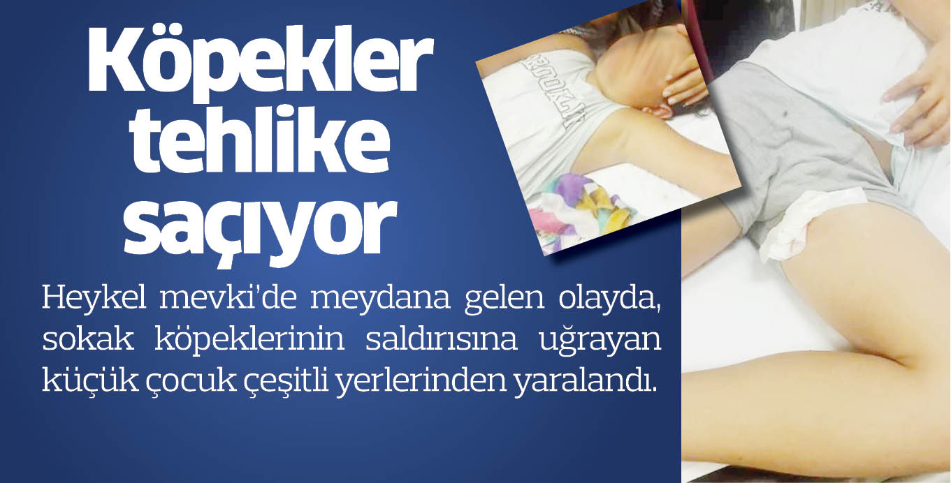 Köpekler tehlike saçıyor