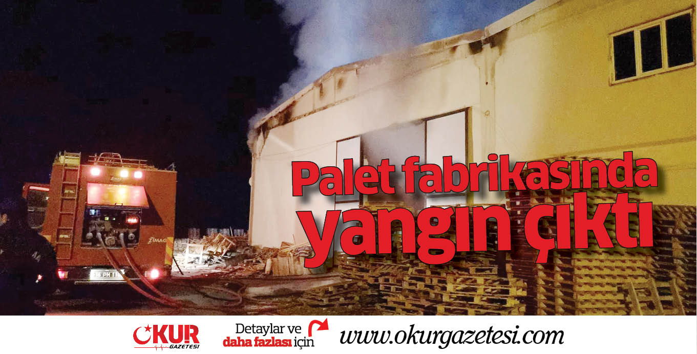 Palet fabrikasında yangın çıktı