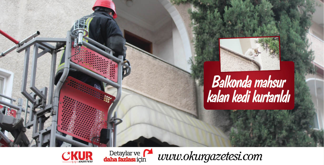 Balkonda mahsur kalan kedi kurtarıldı