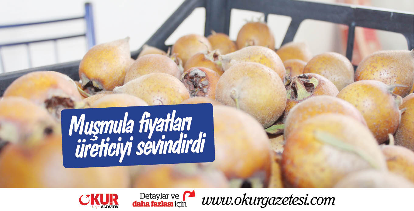 Muşmula fiyatları üreticiyi sevindirdi