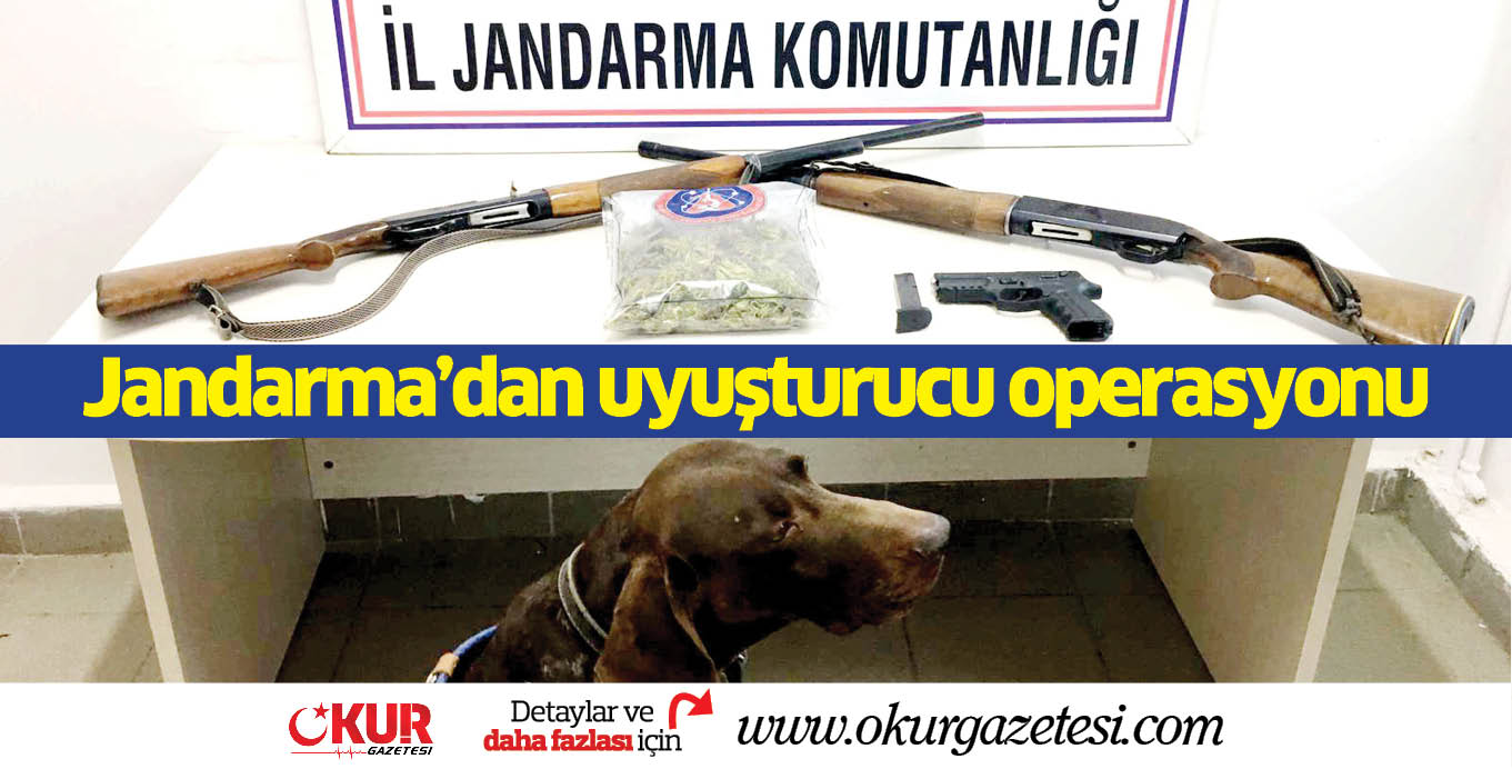 Jandarma’dan uyuşturucu operasyonu