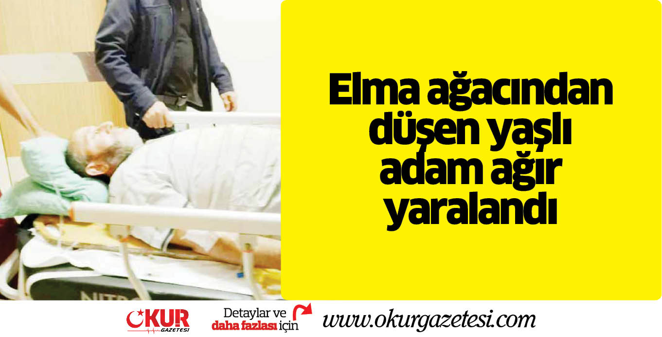 Elma ağacından düşen yaşlı adam ağır yaralandı