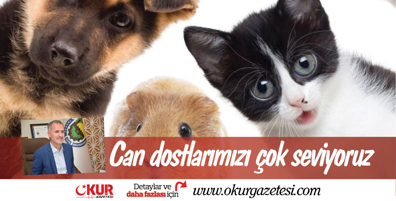 Can dostlarımızı çok seviyoruz