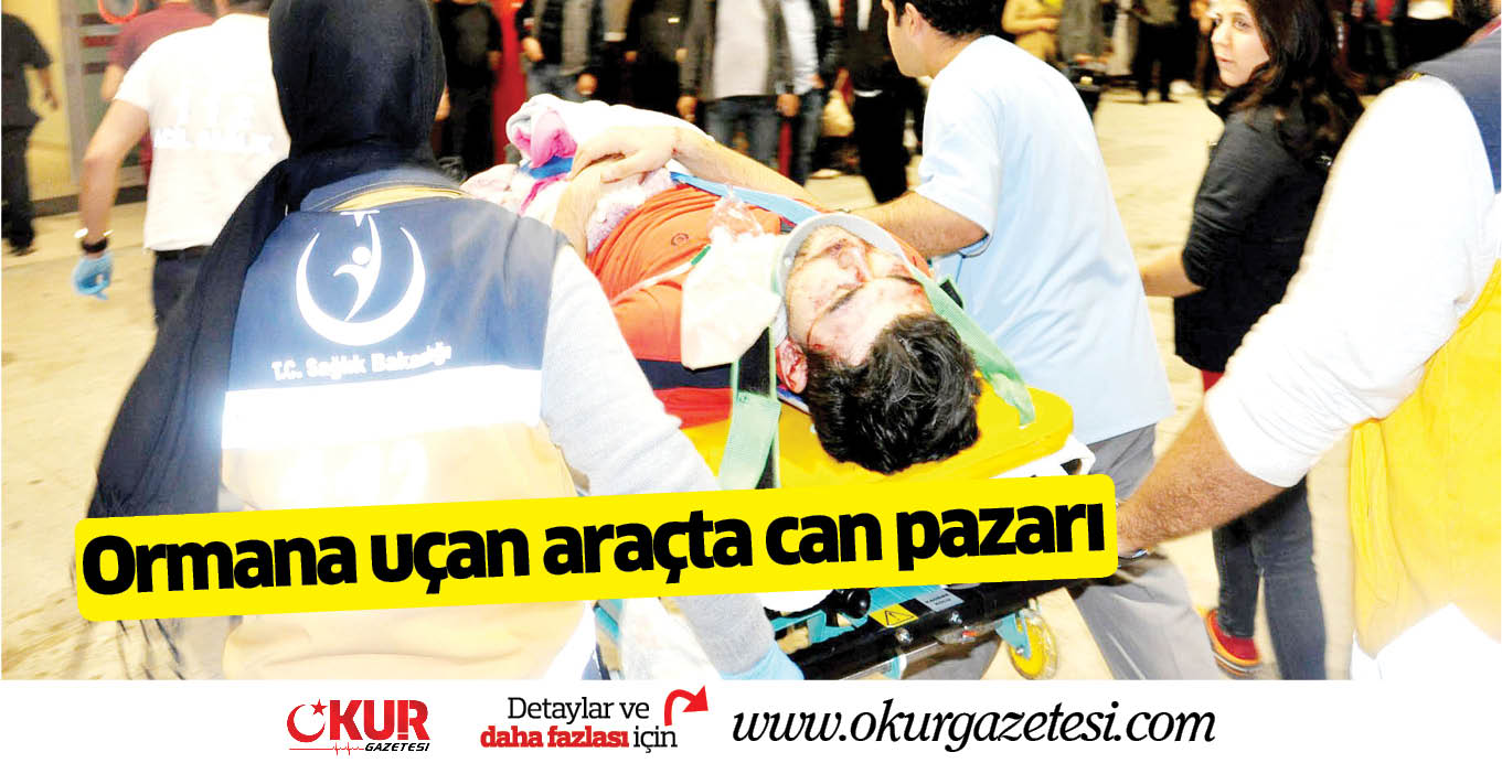 Ormana uçan araçta  can pazarı