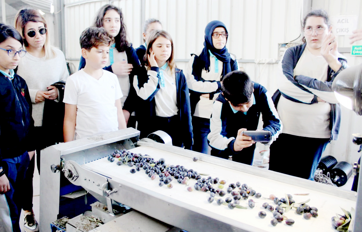 Okyanus koleji ağacın yolculuğunu inceliyor