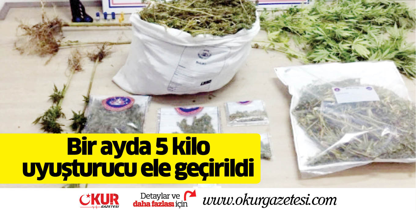 Bir ayda 5 kilo uyuşturucu ele geçirildi
