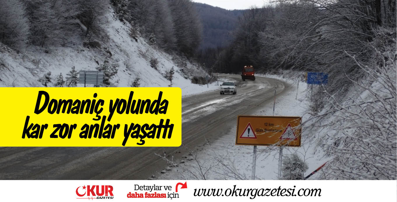 Domaniç yolunda kar zor anlar yaşattı