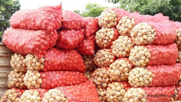 Soğan fiyatları tavan yapacak