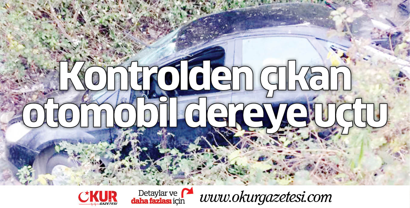 Kontrolden çıkan otomobil dereye uçtu