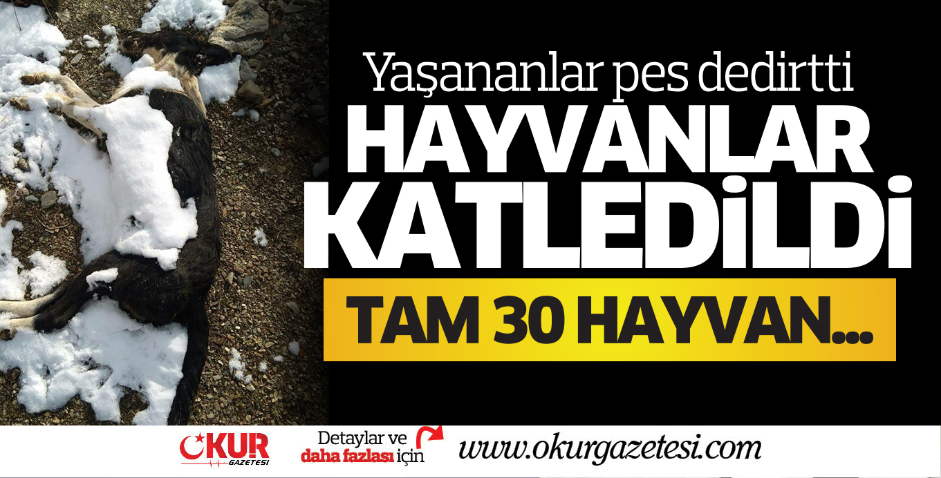 Hayvanlar katledildi
