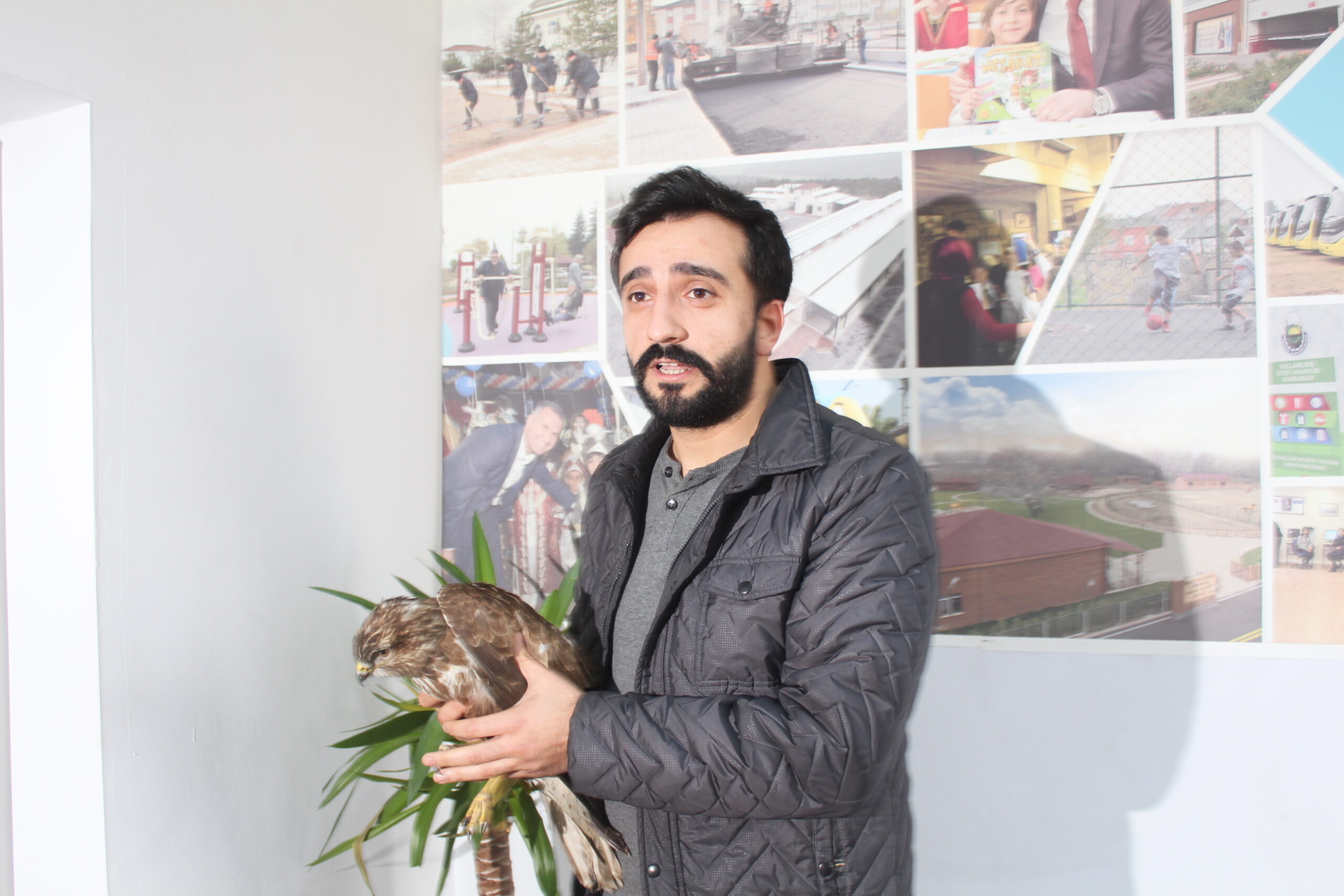 Yaralı şahine belediyesi sahip çıktı