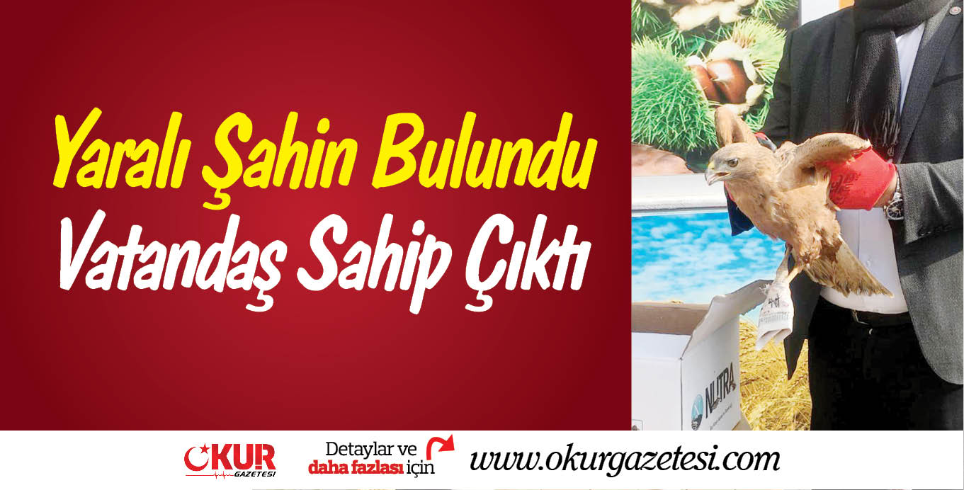 Yaralı şahine vatandaş sahip çıktı