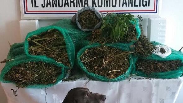 Uyuşturucu davasında beraat