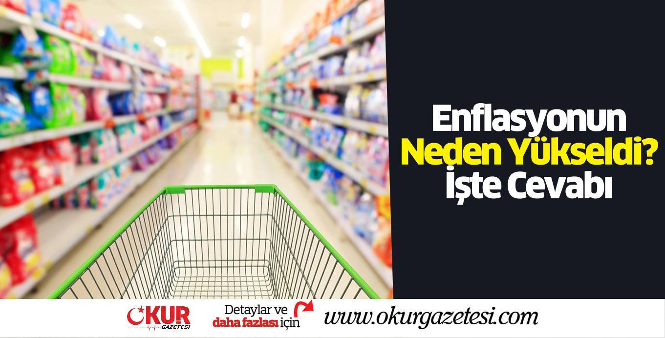 ENFLASYON NEDEN YÜKSELDİ?