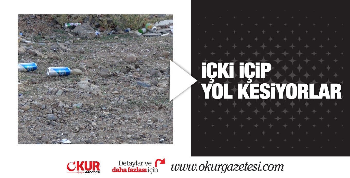 iÇKi iÇiP YOL KESiYORLAR
