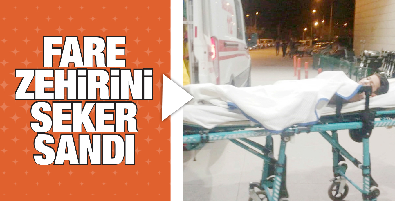 FARE ZEHiRiNi ŞEKER SANDI