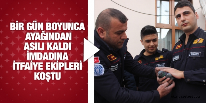 BİR GÜN BOYUNCA AYAĞINDAN ASILI KALDI İMDADINA İTFAİYE EKİPLERİ KOŞTU
