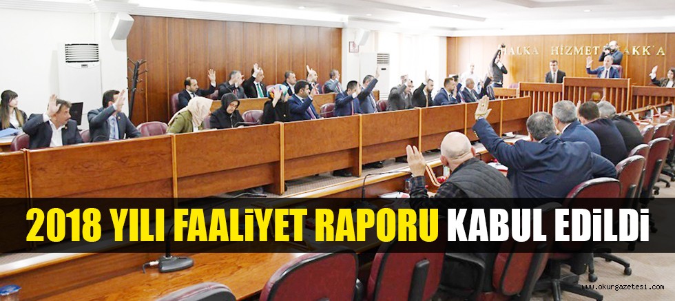 2018 YILI FAALiYET RAPORU KABUL EDiLDi