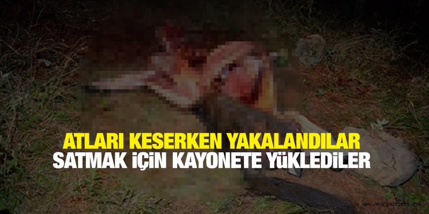 AT ETİ TİCARETİ…