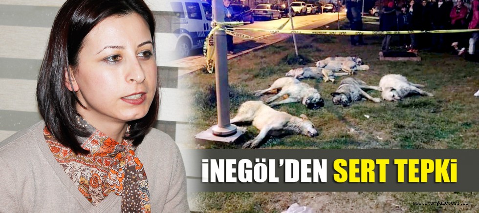 iDOHA’DAN SERT TEPKi