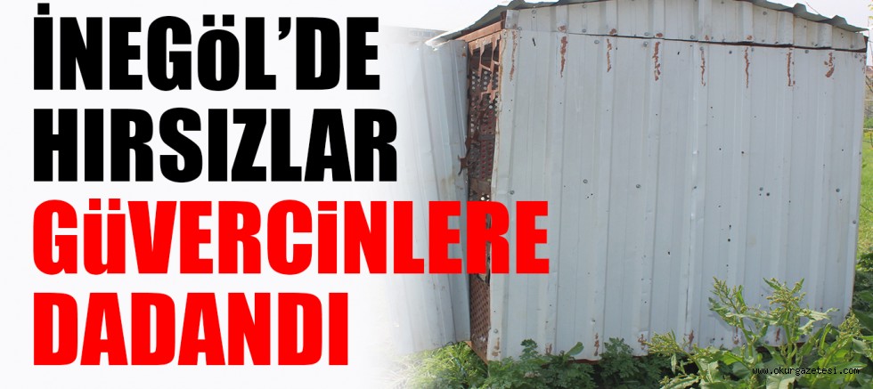 İNEGöL’DE HIRSIZLAR GüVERCiNLERE DADANDI