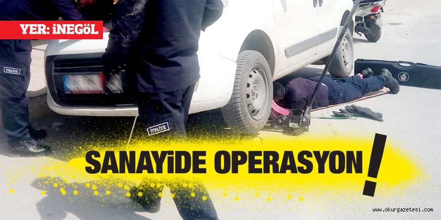 SANAYi’DE YAVRU KEDi OPERASYON