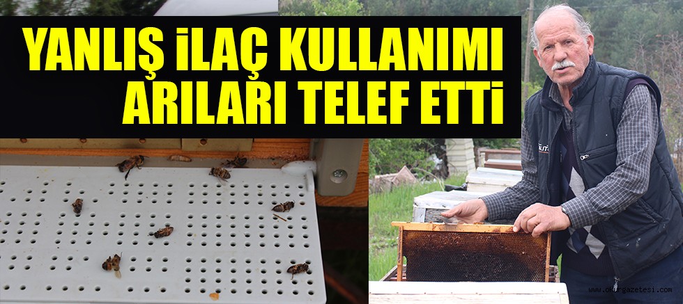 YANLIŞ iLAÇ KULLANIMI ARILARI TELEF ETTi