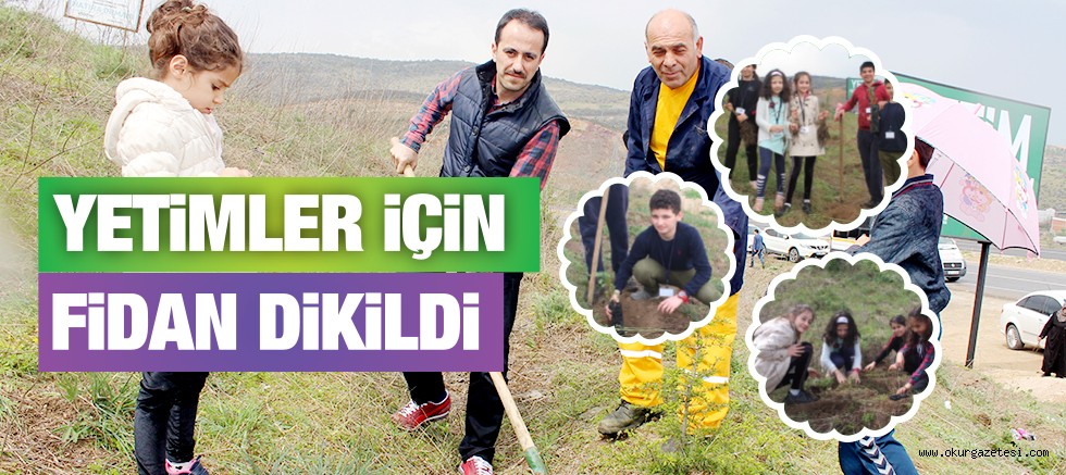 YETİMLER İÇİN FİDAN DİKİLDİ