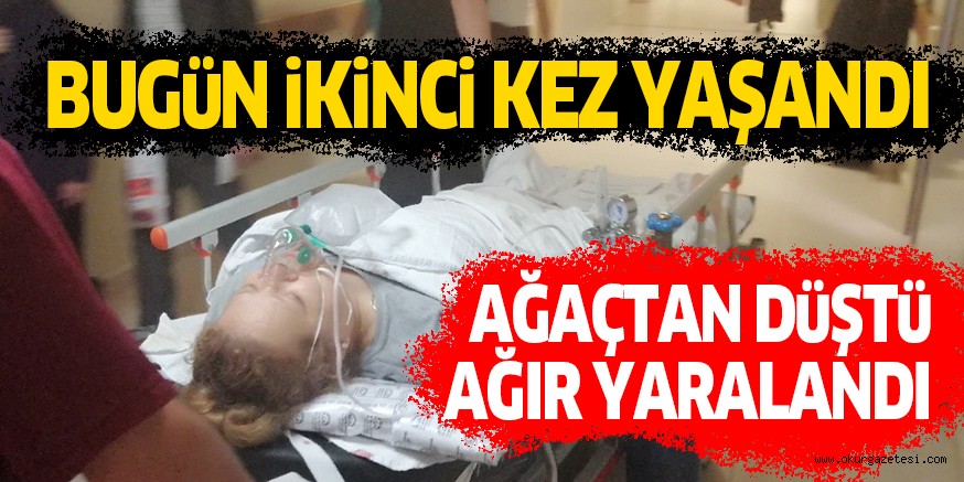 AĞAÇTAN DÜŞTÜ AĞIR YARALANDI