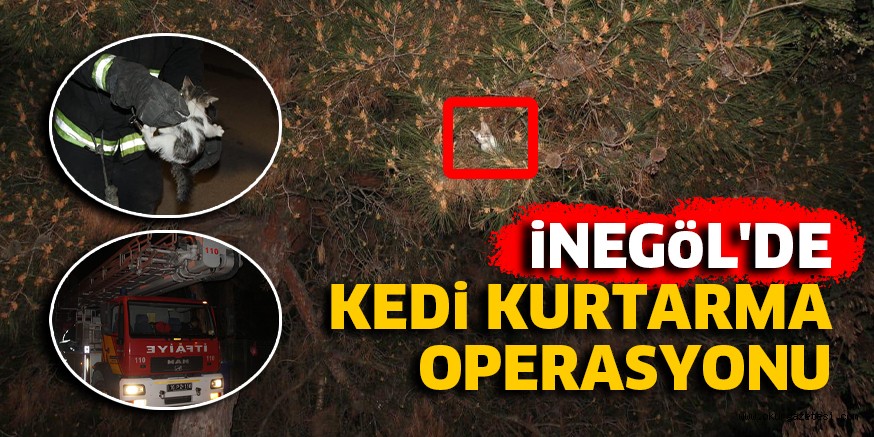 iNEGöL’DE KEDi KURTARMA OPERASYONU