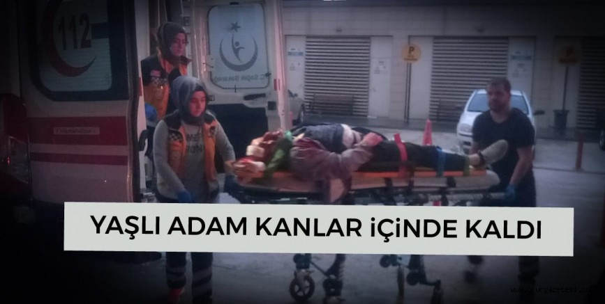 KANLAR İÇERİSİNDE KALDI