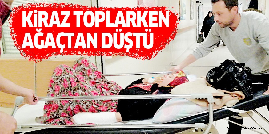 KİRAZ TOPLARKEN AĞAÇTAN DÜŞTÜ