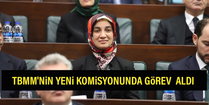 TBMM’NiN YENi KOMiSYONUNDA GöREV  ALDI