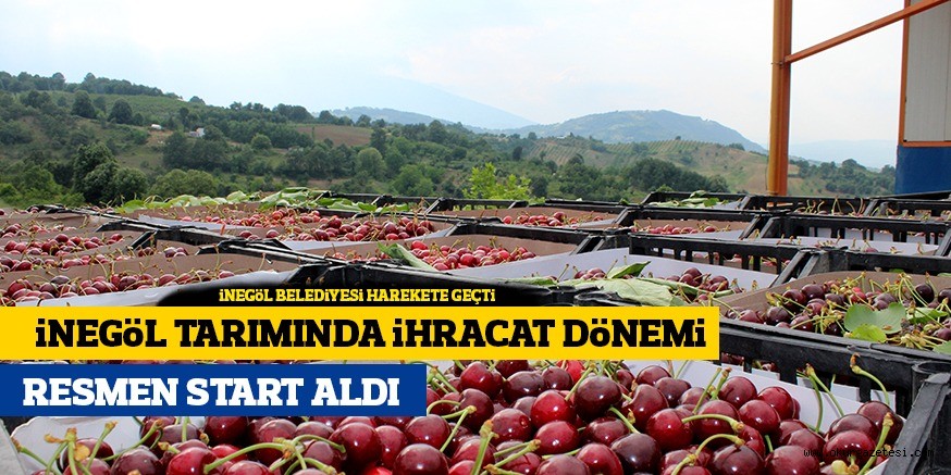 İNEGÖL TARIMINDA İHRACAT DÖNEMİ BAŞLADI