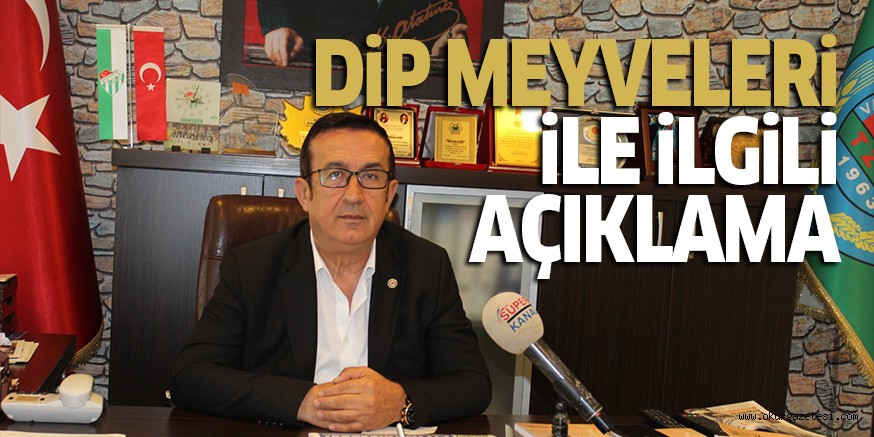 DiP MEYVELERi iLE iLGiLi AÇIKLAMA