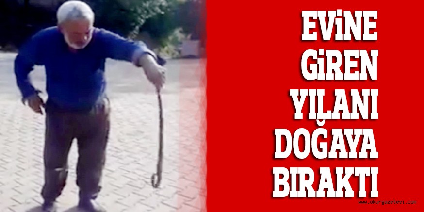 EViNE GiREN YILANI DOĞAYA BIRAKTI