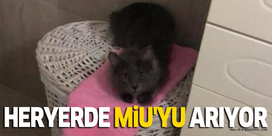HERYERDE MiU’YU ARIYOR