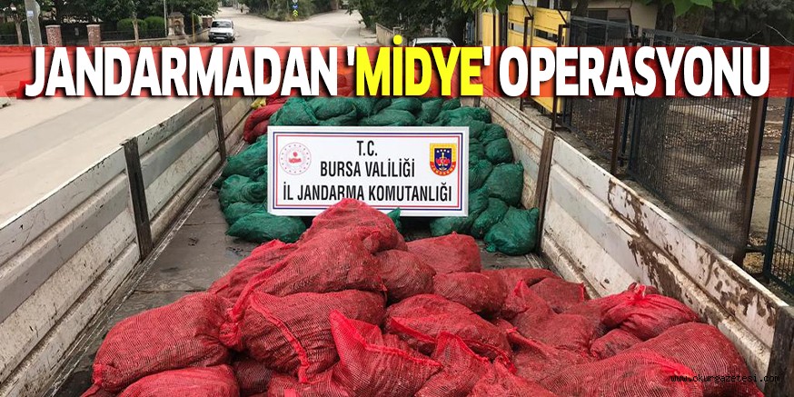 JANDARMADAN ‘MİDYE’ OPERASYONU