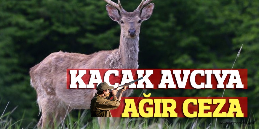 KAÇAK AVCIYA AĞIR CEZA