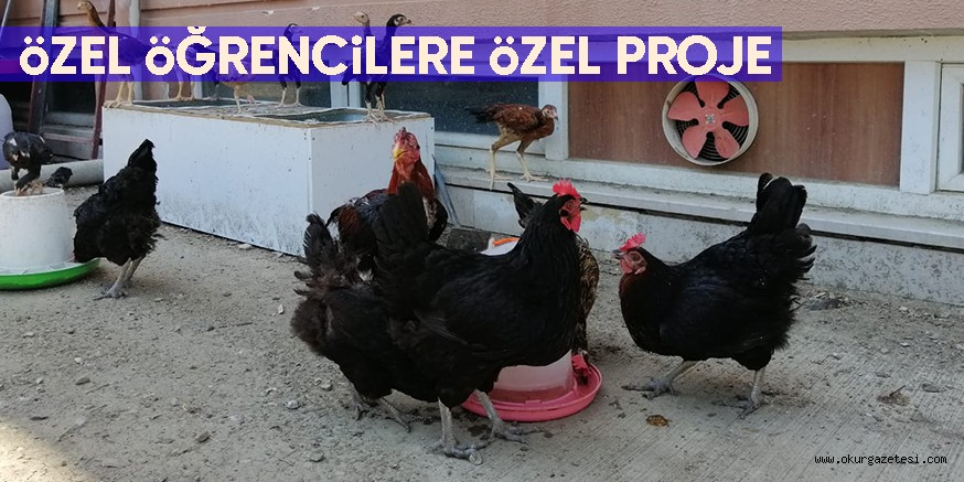 öZEL öĞRENCiLERE öZEL PROJE