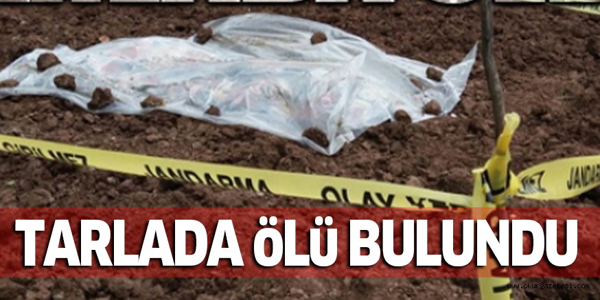 TARLADA öLü BULUNDU