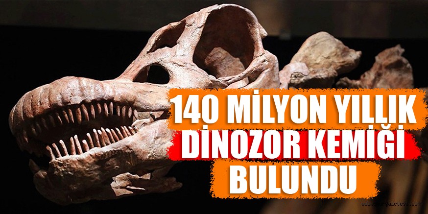 140 MiLYON YILLIK DiNOZOR KEMiĞi BULUNDU!
