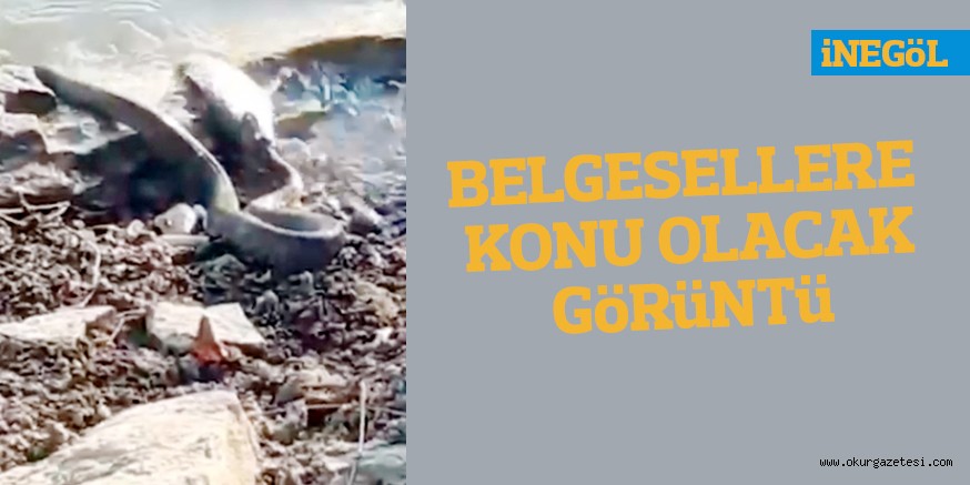 BELGESELLERE KONU OLACAK GöRüNTü