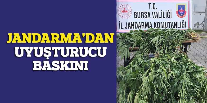 JANDARMADAN UYUŞTURUCU BASKINI