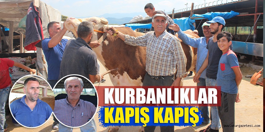 KURBANLIKLAR  KAPIŞ KAPIŞ