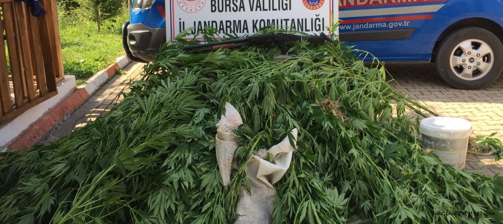 SERBEST BIRAKILDILAR