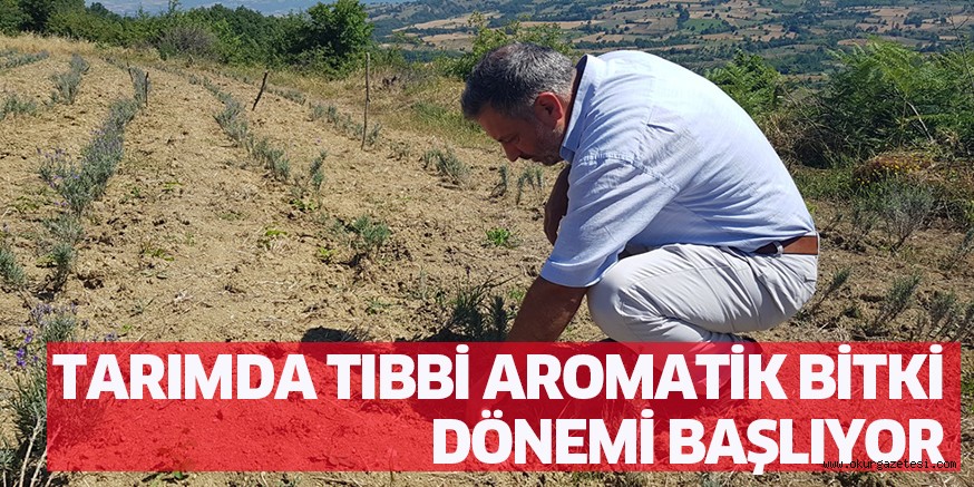 TARIMDA TIBBİ AROMATİK BİTKİ DÖNEMİ BAŞLIYOR