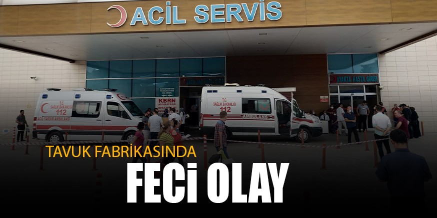 TAVUK FABRİKASINDA FECİ OLAY