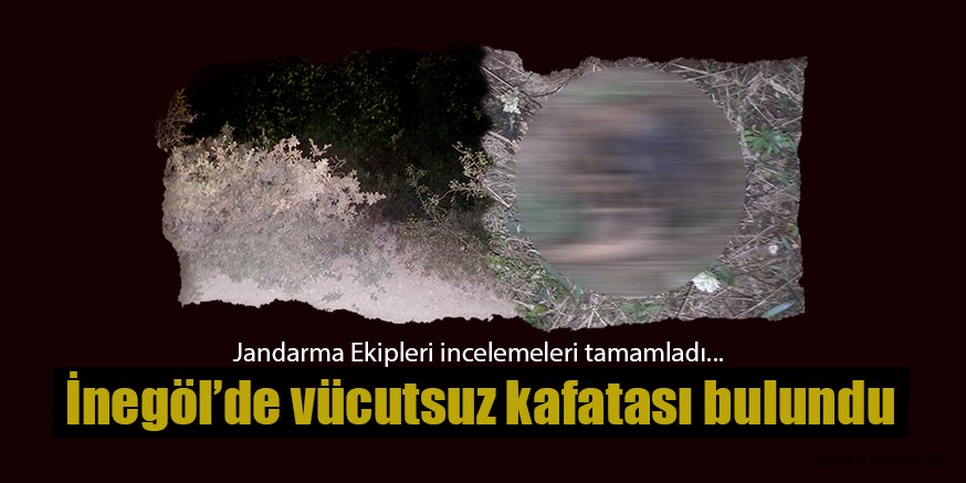 VÜCUTSUZ KAFATASI BULUNDU